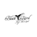 black-bird