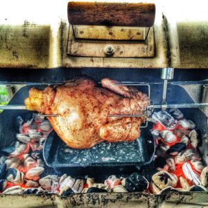 sommerlad-breeder-rooster