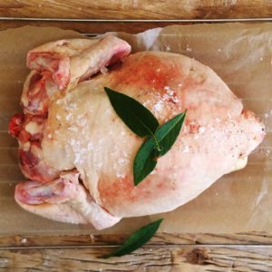 buy-sommerlad-breeder-chickens