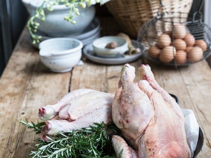 buy-sommerlad-chickens