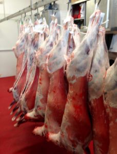 Whole Saltbush Lamb