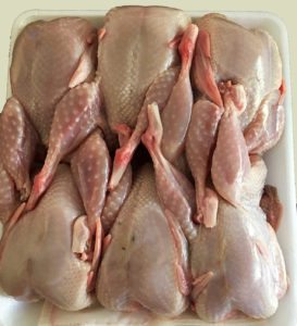 Six pack Organic Quail