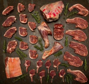 Awassi Dorper lamb side