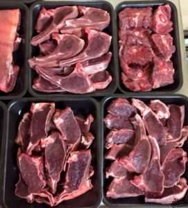 Wild Shot Venison Hand Sourced