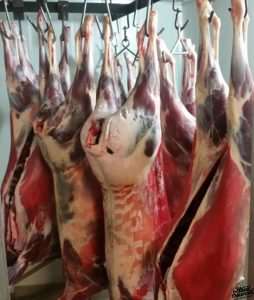 Wild Shot Venison Hand Sourced
