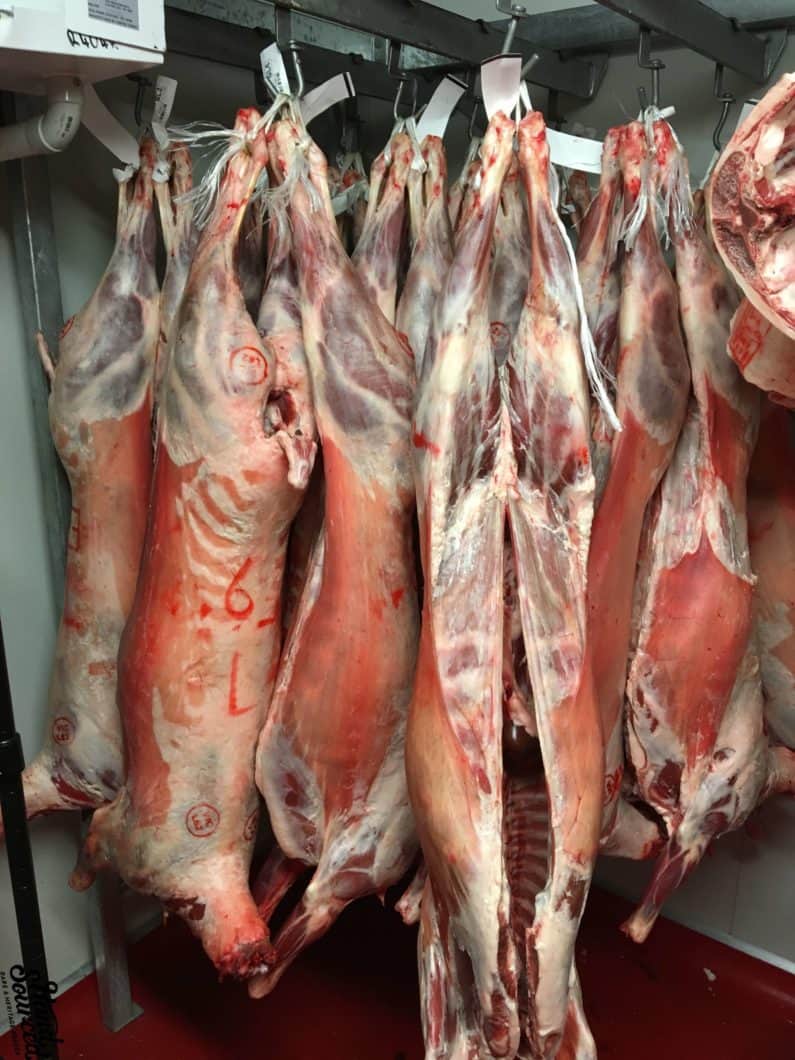 Buy lamb in Brisbane at Hand Sourced