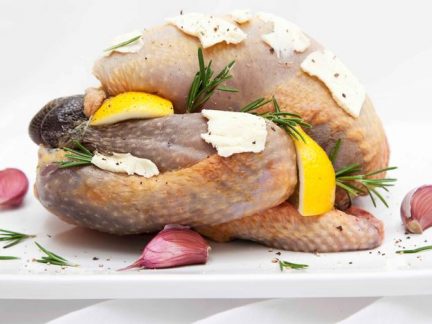 Guinea Fowl Brisbane