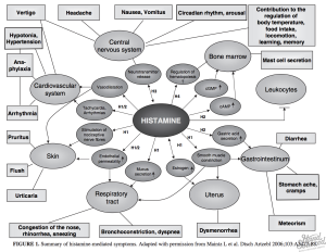 A comprehensive histamine chart categorizing foods based on histamine levels
