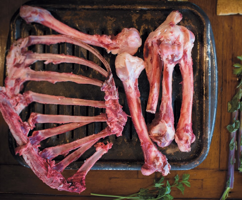 venison-stock-1
